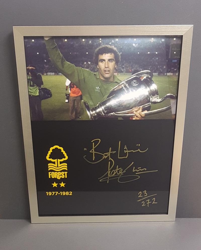 The Gold Nottingham Forest Collection
